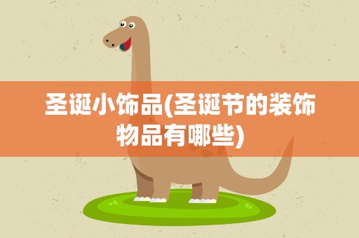 圣诞小饰品(圣诞节的装饰物品有哪些)