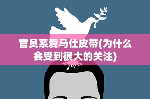 官员系爱马仕皮带(为什么会受到很大的关注)