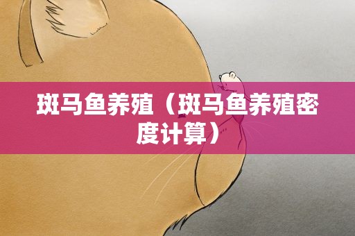 斑马鱼养殖（斑马鱼养殖密度计算）