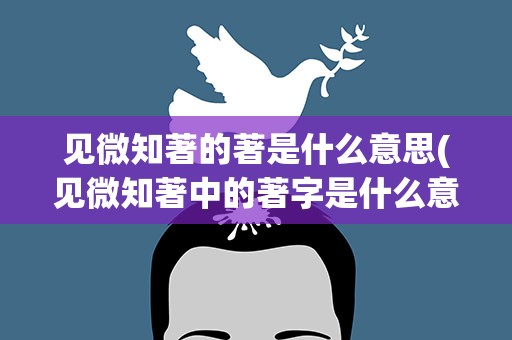 见微知著的著是什么意思(见微知著中的著字是什么意思)