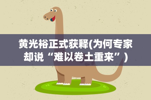 黄光裕正式获释(为何专家却说“难以卷土重来”)