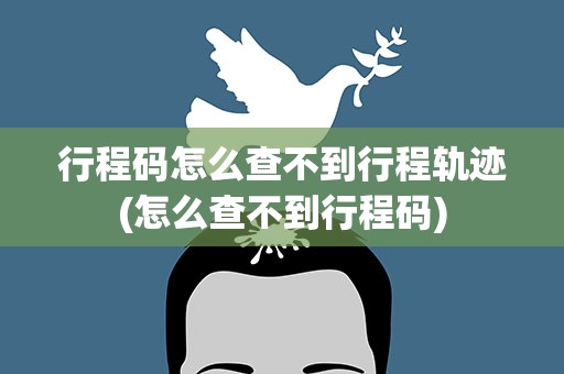 行程码怎么查不到行程轨迹(怎么查不到行程码)
