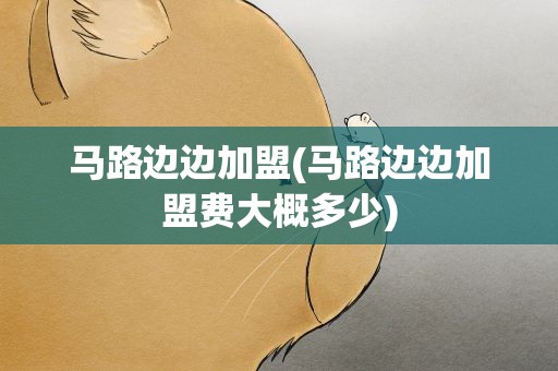 马路边边加盟(马路边边加盟费大概多少)