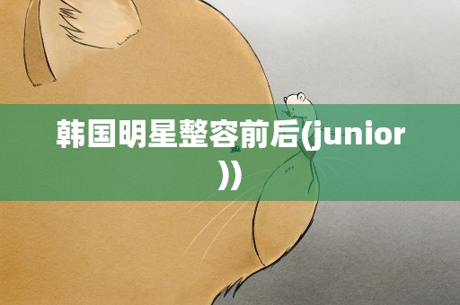 韩国明星整容前后(junior))