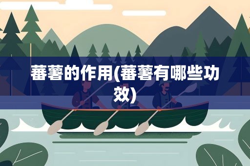 蕃薯的作用(蕃薯有哪些功效)