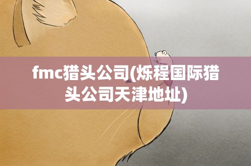 fmc猎头公司(烁程国际猎头公司天津地址)