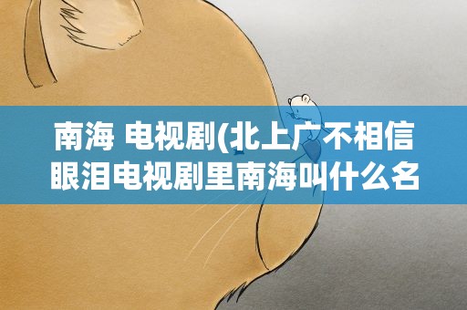 南海 电视剧(北上广不相信眼泪电视剧里南海叫什么名字)