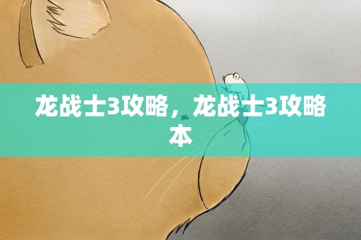 龙战士3攻略，龙战士3攻略本