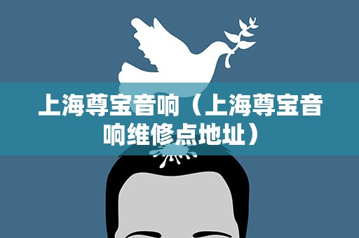 上海尊宝音响（上海尊宝音响维修点地址）