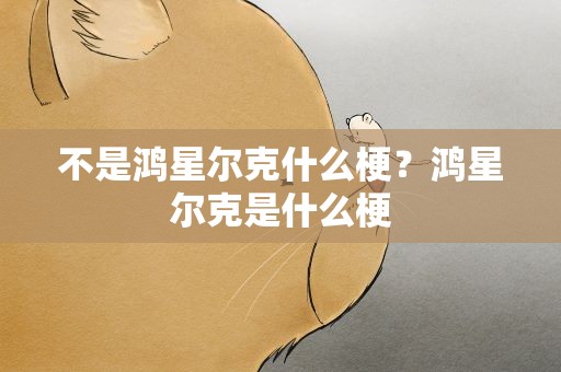 不是鸿星尔克什么梗？鸿星尔克是什么梗