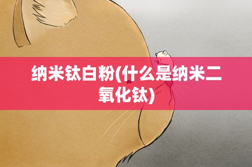 纳米钛白粉(什么是纳米二氧化钛)