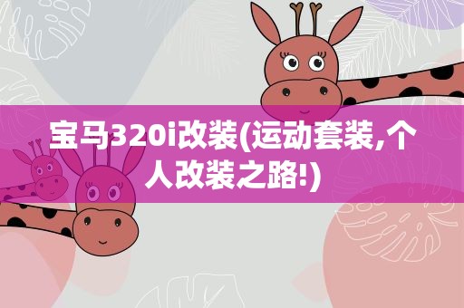 宝马320i改装(运动套装,个人改装之路!)