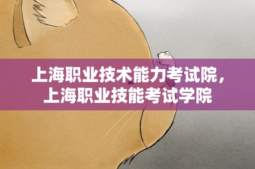 上海职业技术能力考试院，上海职业技能考试学院