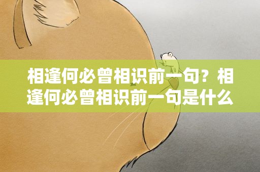 相逢何必曾相识前一句？相逢何必曾相识前一句是什么
