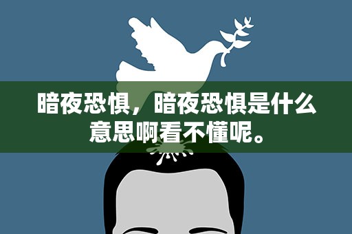 暗夜恐惧，暗夜恐惧是什么意思啊看不懂呢。