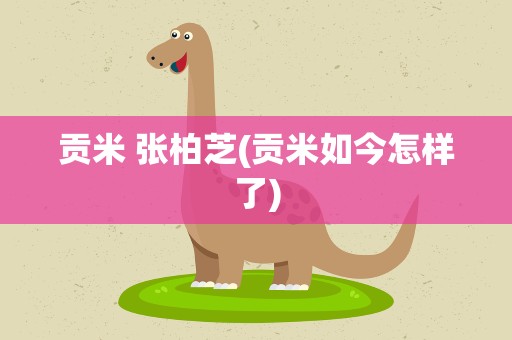 贡米 张柏芝(贡米如今怎样了)
