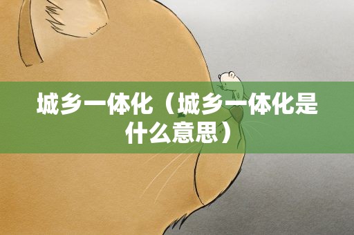 城乡一体化（城乡一体化是什么意思）