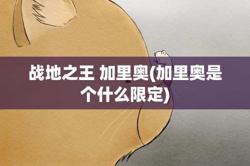战地之王 加里奥(加里奥是个什么限定)