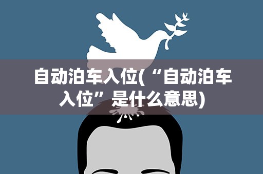 自动泊车入位(“自动泊车入位”是什么意思)