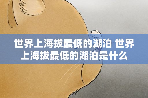 世界上海拔最低的湖泊 世界上海拔最低的湖泊是什么