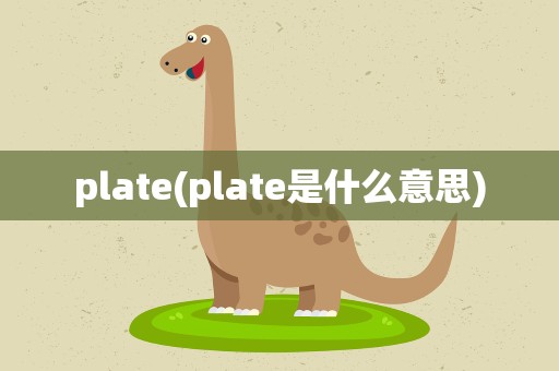 plate(plate是什么意思)