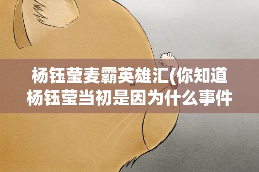 杨钰莹麦霸英雄汇(你知道杨钰莹当初是因为什么事件而陨落吗)
