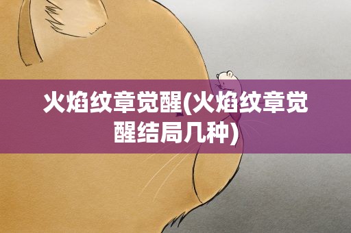 火焰纹章觉醒(火焰纹章觉醒结局几种)
