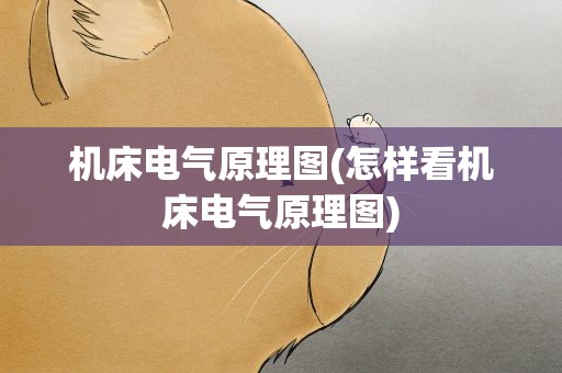 机床电气原理图(怎样看机床电气原理图)