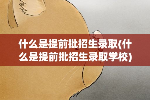 什么是提前批招生录取(什么是提前批招生录取学校)