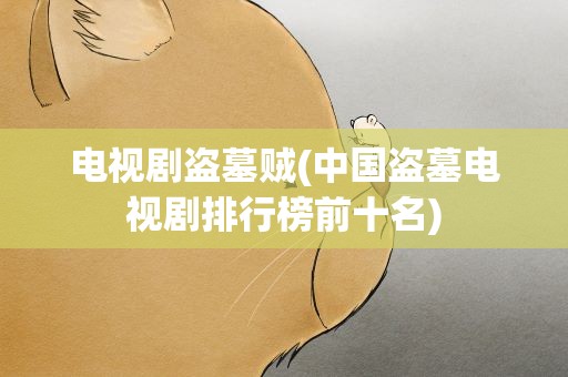 电视剧盗墓贼(中国盗墓电视剧排行榜前十名)