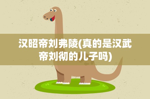 汉昭帝刘弗陵(真的是汉武帝刘彻的儿子吗)