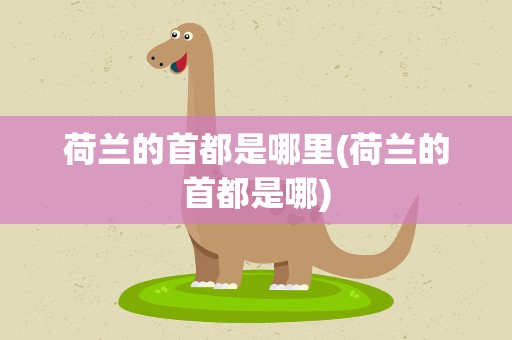 荷兰的首都是哪里(荷兰的首都是哪)