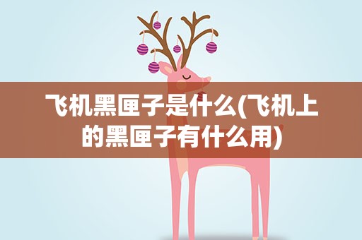 飞机黑匣子是什么(飞机上的黑匣子有什么用)