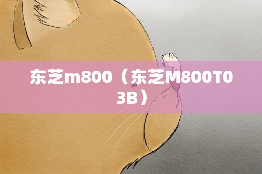 东芝m800（东芝M800T03B）