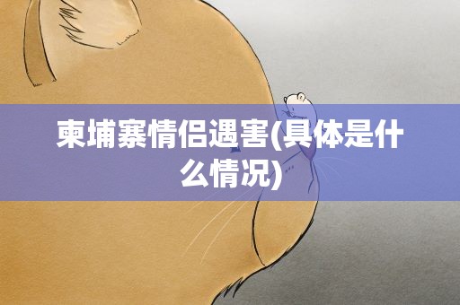 柬埔寨情侣遇害(具体是什么情况)