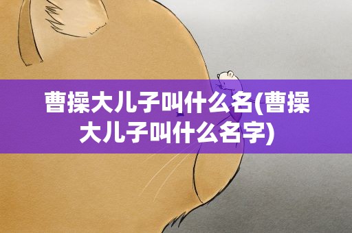 曹操大儿子叫什么名(曹操大儿子叫什么名字)