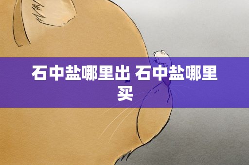 石中盐哪里出 石中盐哪里买