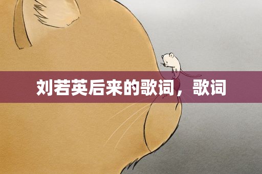 刘若英后来的歌词，歌词