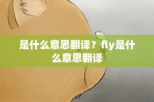 是什么意思翻译？fly是什么意思翻译