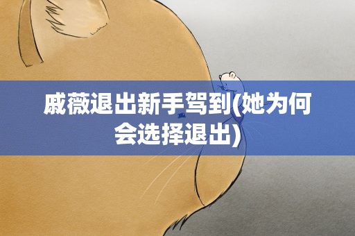 戚薇退出新手驾到(她为何会选择退出)
