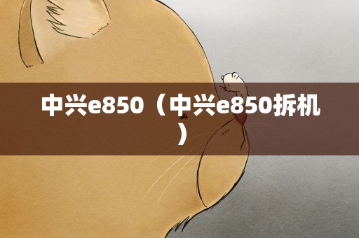 中兴e850（中兴e850拆机）