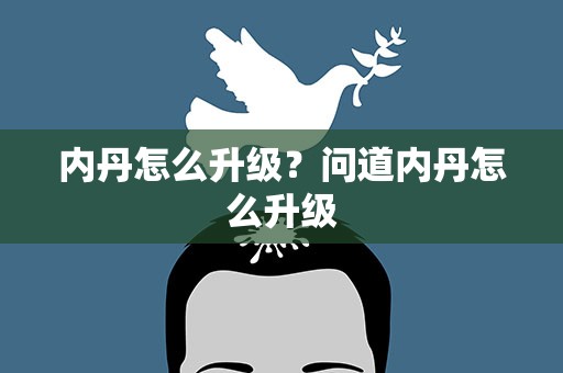 内丹怎么升级？问道内丹怎么升级