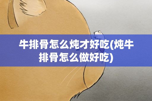 牛排骨怎么炖才好吃(炖牛排骨怎么做好吃)