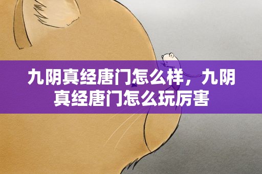 九阴真经唐门怎么样，九阴真经唐门怎么玩厉害