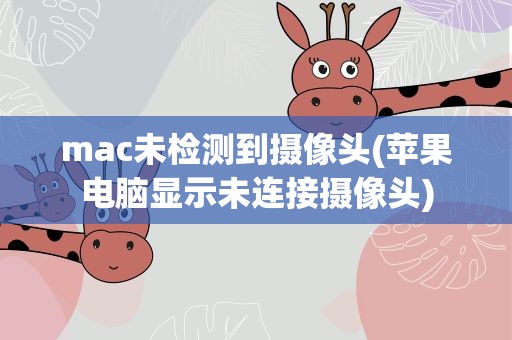 mac未检测到摄像头(苹果电脑显示未连接摄像头)