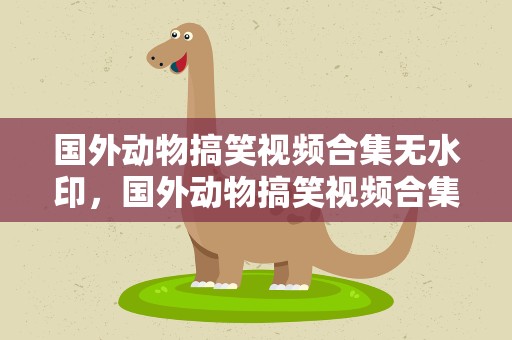 国外动物搞笑视频合集无水印，国外动物搞笑视频合集无水印版
