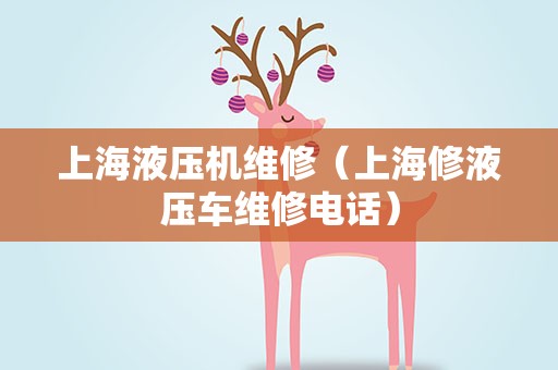 上海液压机维修（上海修液压车维修电话）