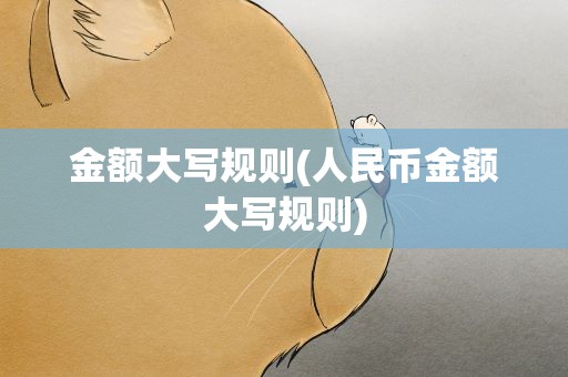 金额大写规则(人民币金额大写规则)