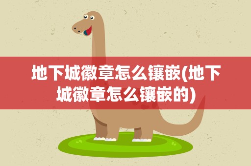地下城徽章怎么镶嵌(地下城徽章怎么镶嵌的)