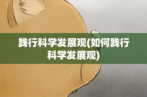 践行科学发展观(如何践行科学发展观)